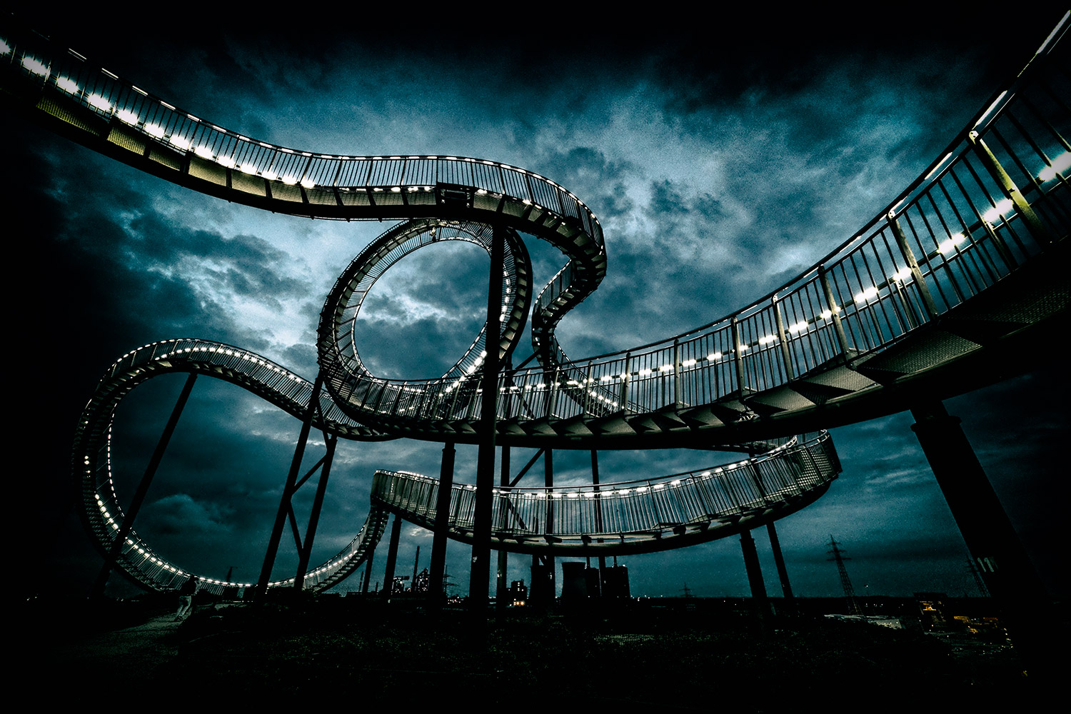 Tiger and Turtle