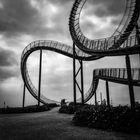 Tiger and Turtle Duisburg 