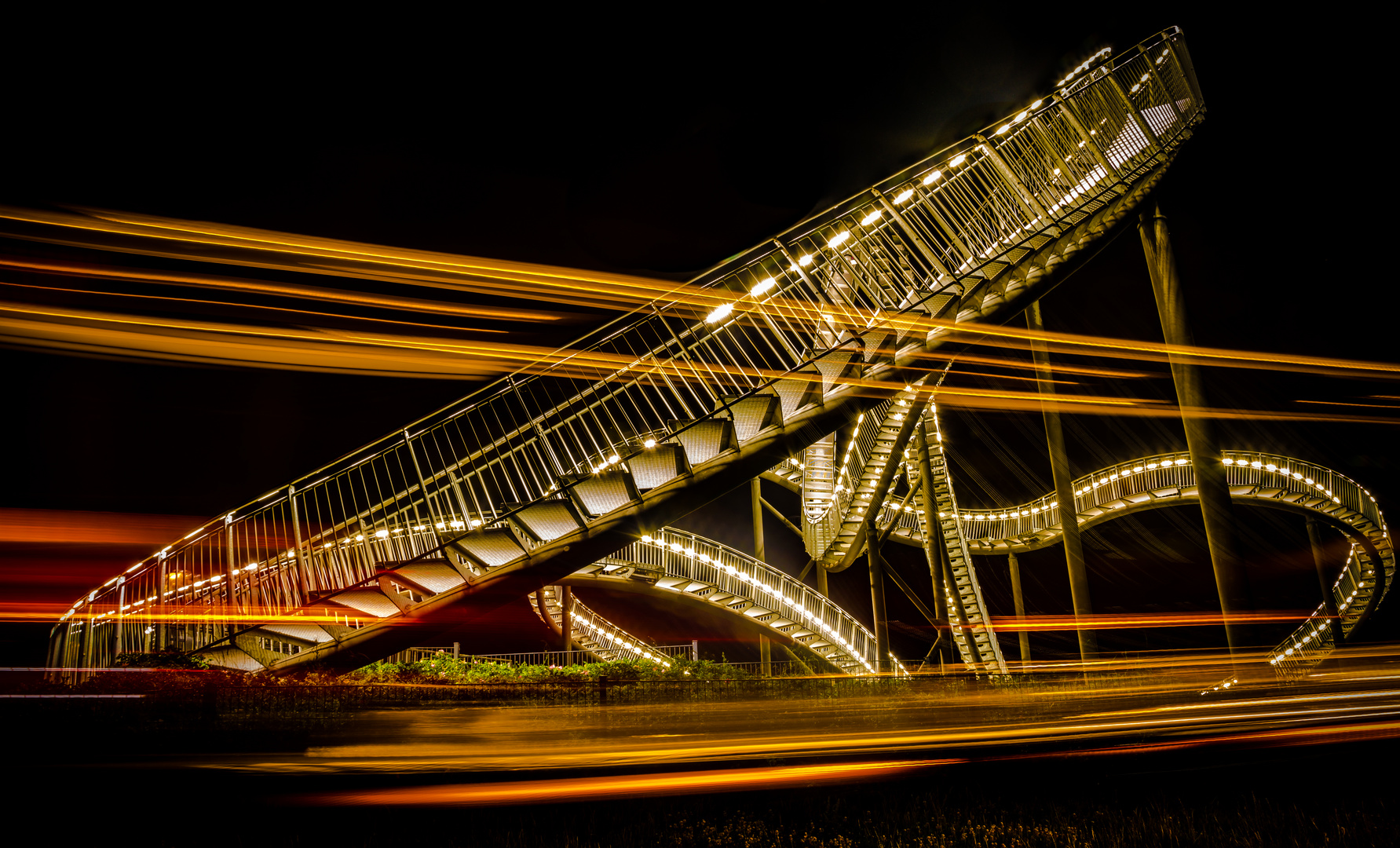 Tiger and Turtle