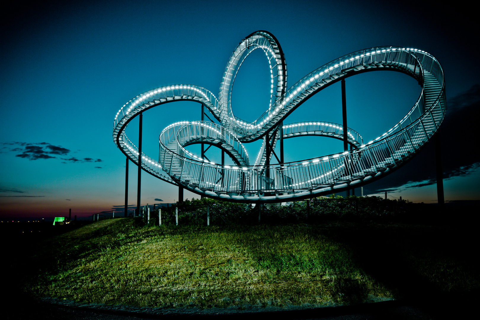 Tiger and Turtle