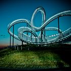 Tiger and Turtle