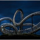 tiger and turtle