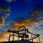 Tiger and Turtle