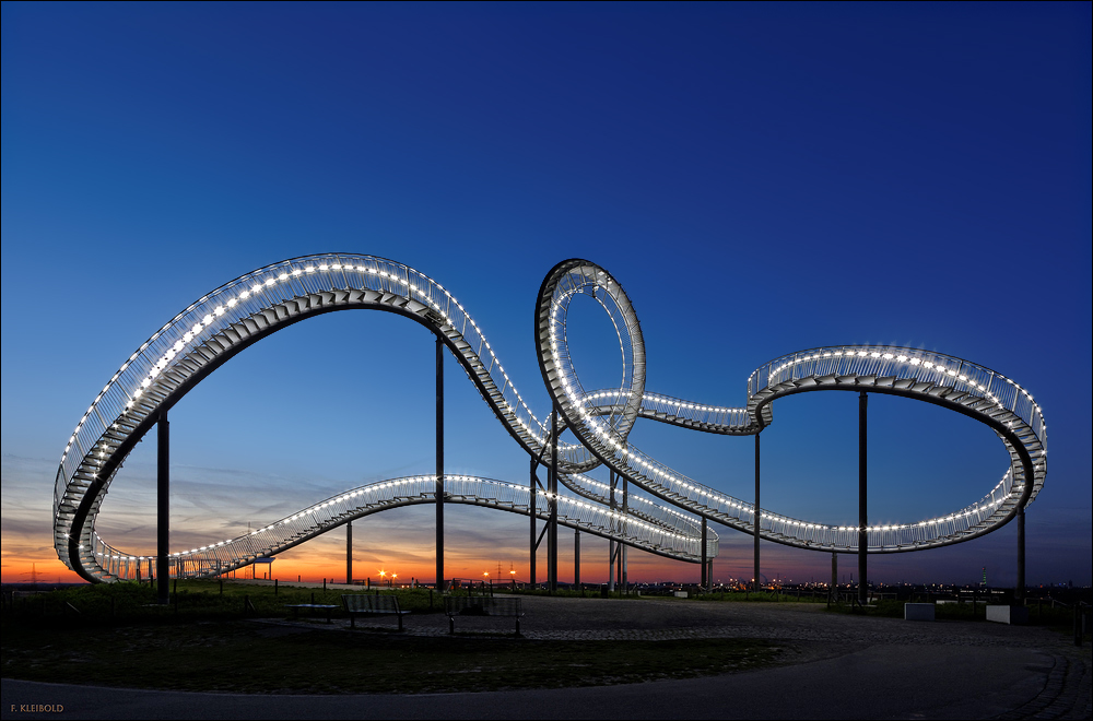 Tiger and Turtle