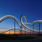 Tiger and Turtle