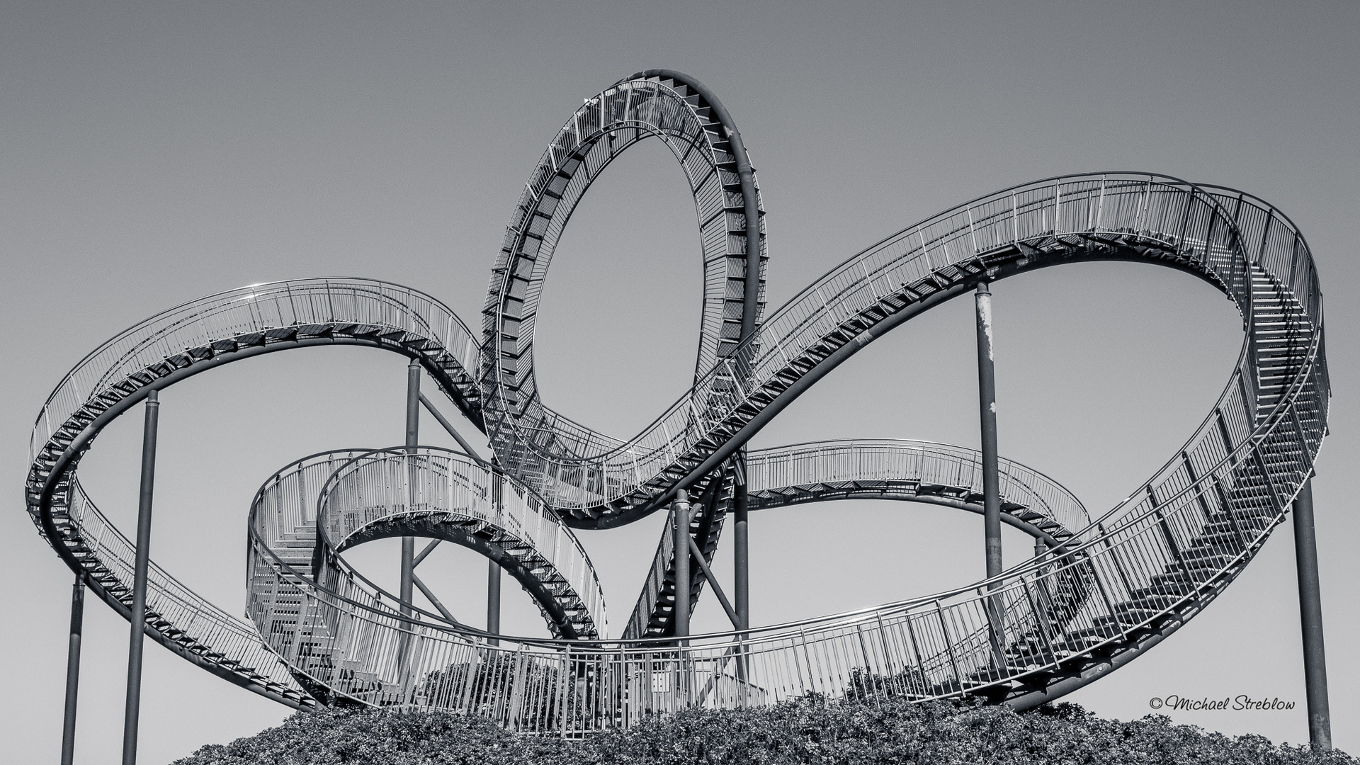 Tiger and Turtle