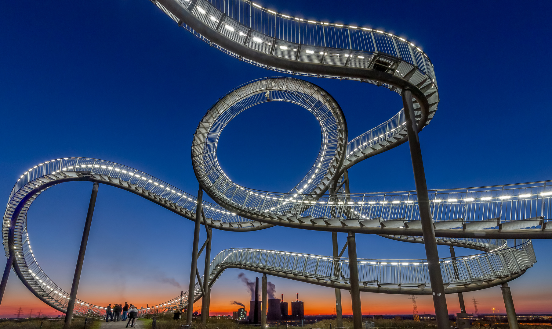 Tiger and Turtle 