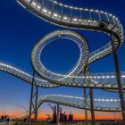 Tiger and Turtle 