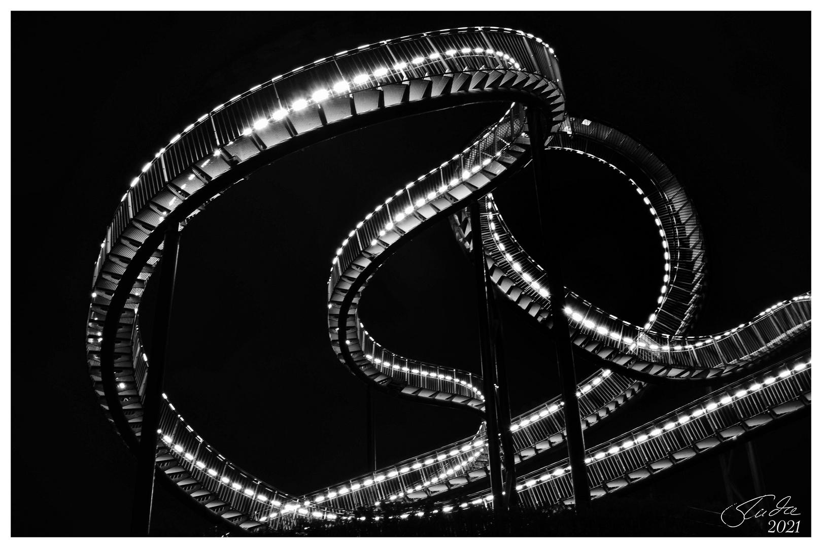 Tiger and Turtle