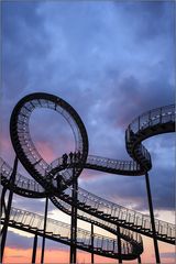 tiger and turtle