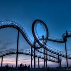 Tiger and Turtle