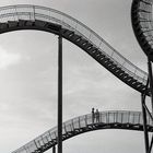 Tiger and Turtle