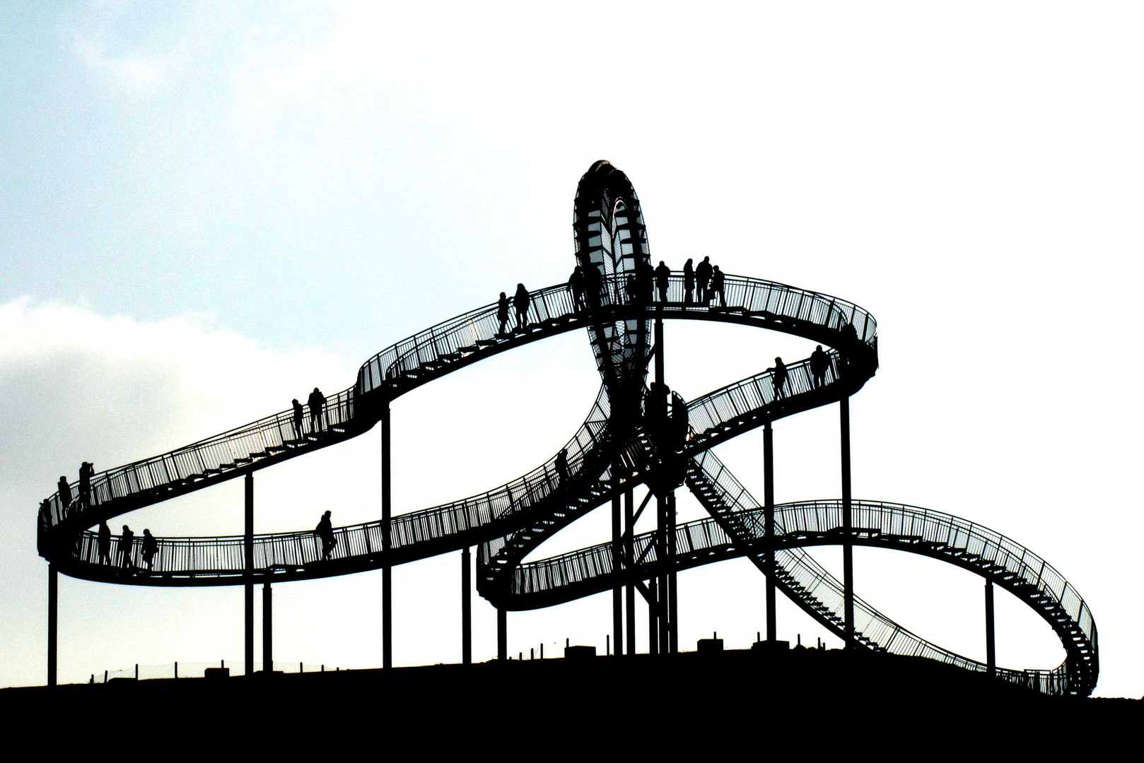 Tiger and Turtle