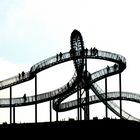 Tiger and Turtle