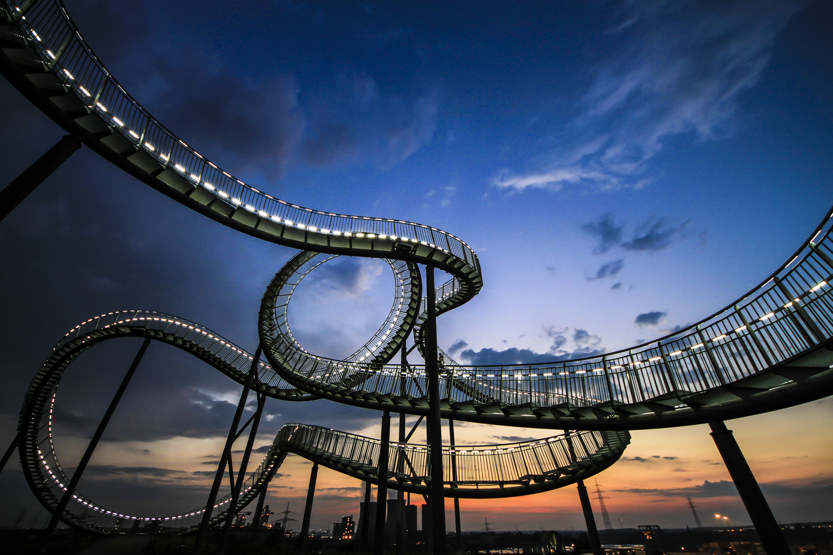 Tiger and Turtle