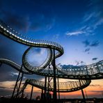 Tiger and Turtle