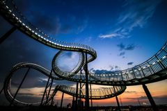 Tiger and Turtle