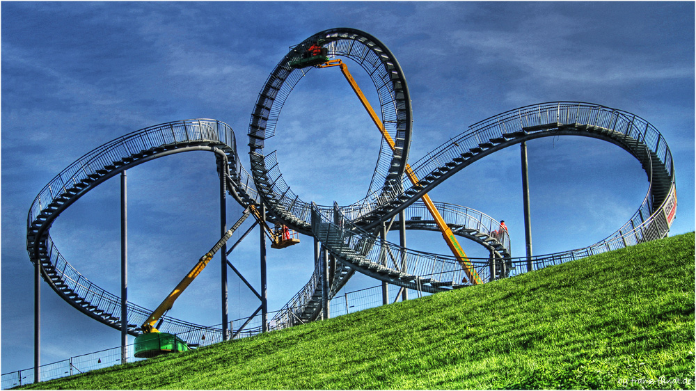 Tiger and Turtle....