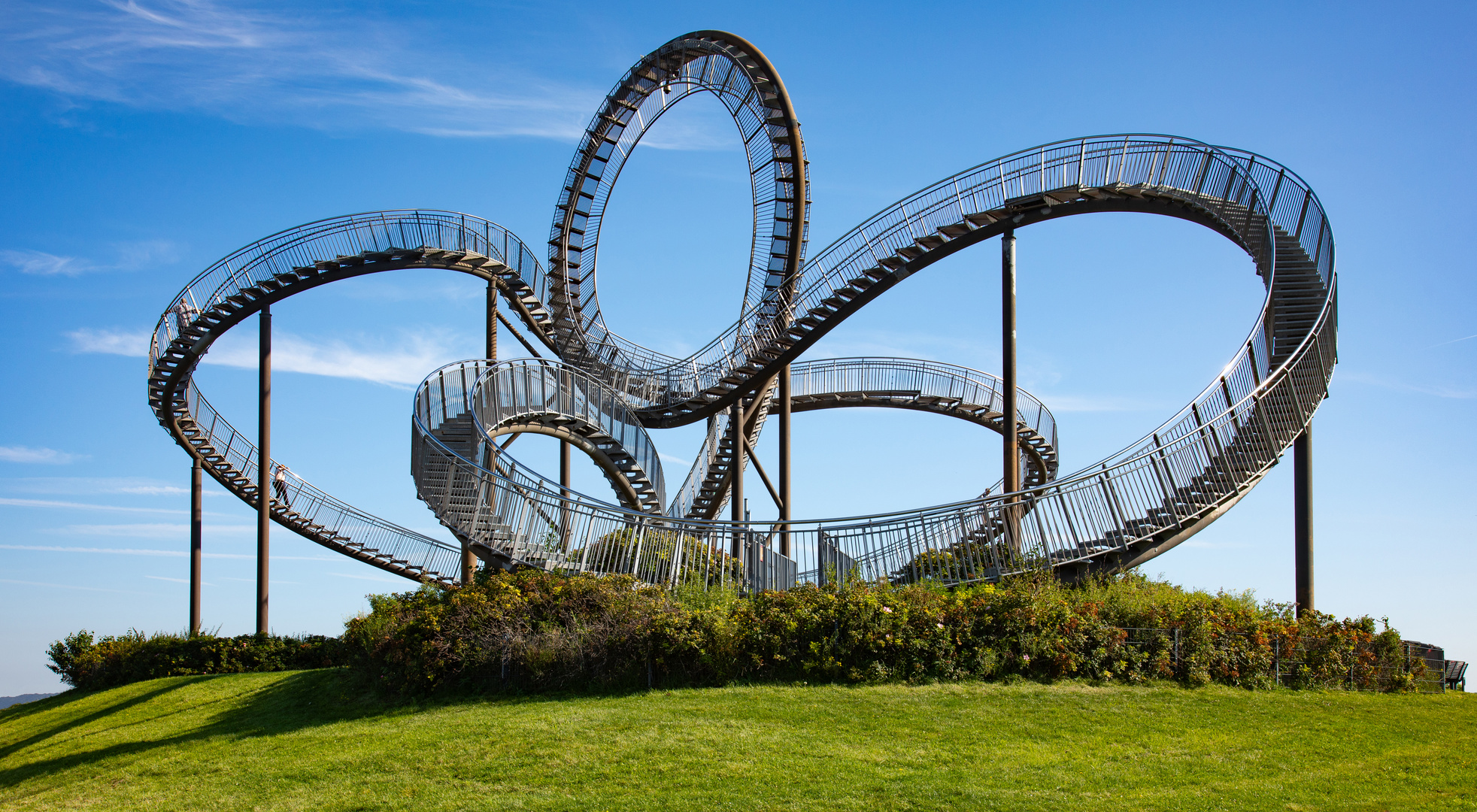 Tiger and Turtle