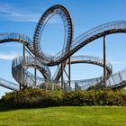 Tiger and Turtle