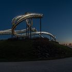 Tiger and Turtle