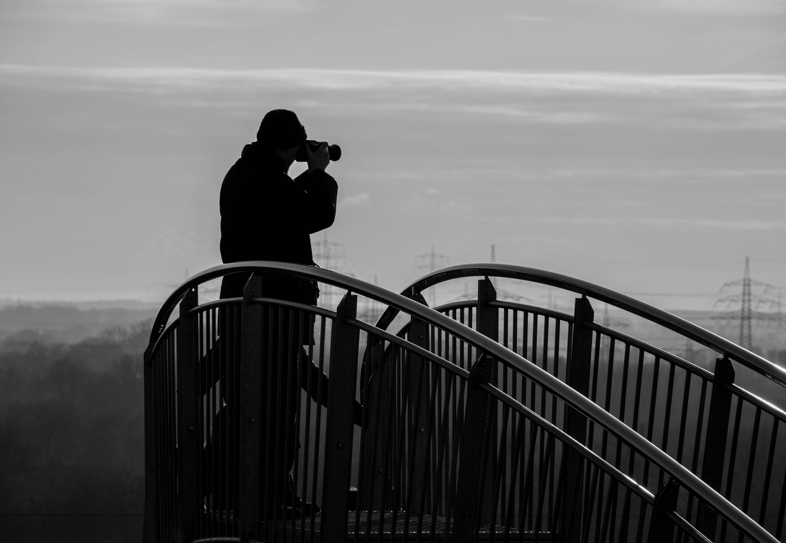 Tiger and Turtle Fotograpfie der Fotografen