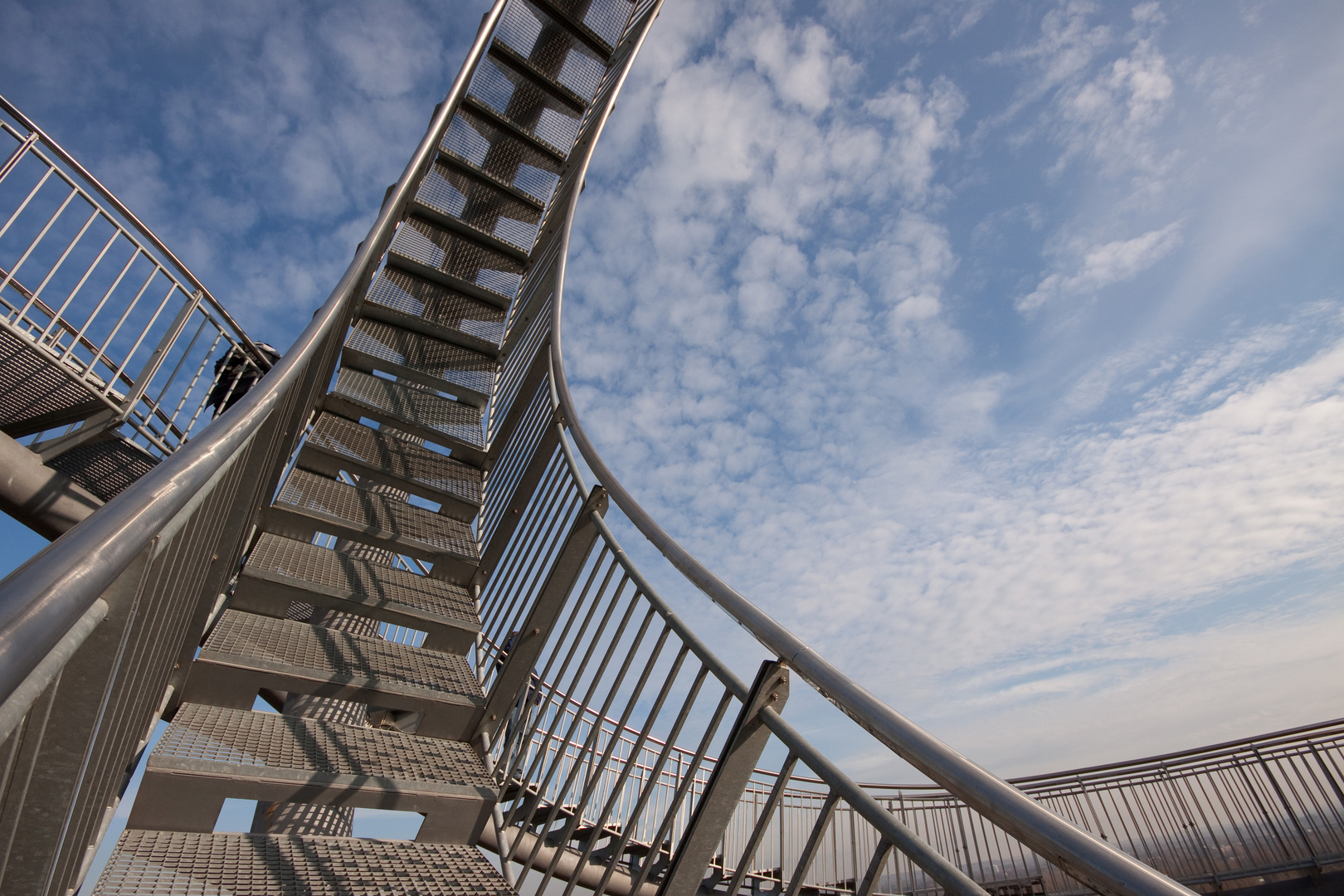 tiger and turtle (I)