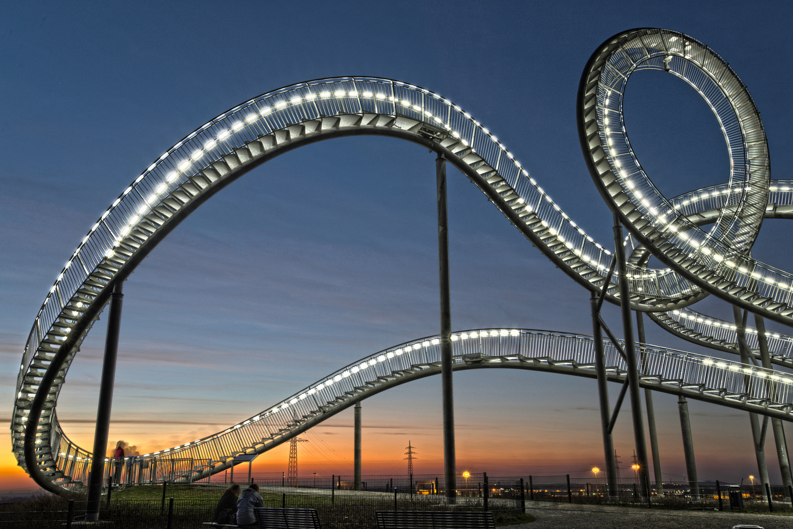 Tiger and Turtle I