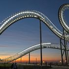 Tiger and Turtle I