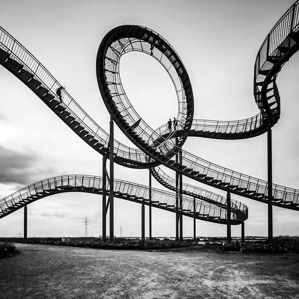 Tiger and Turtle I