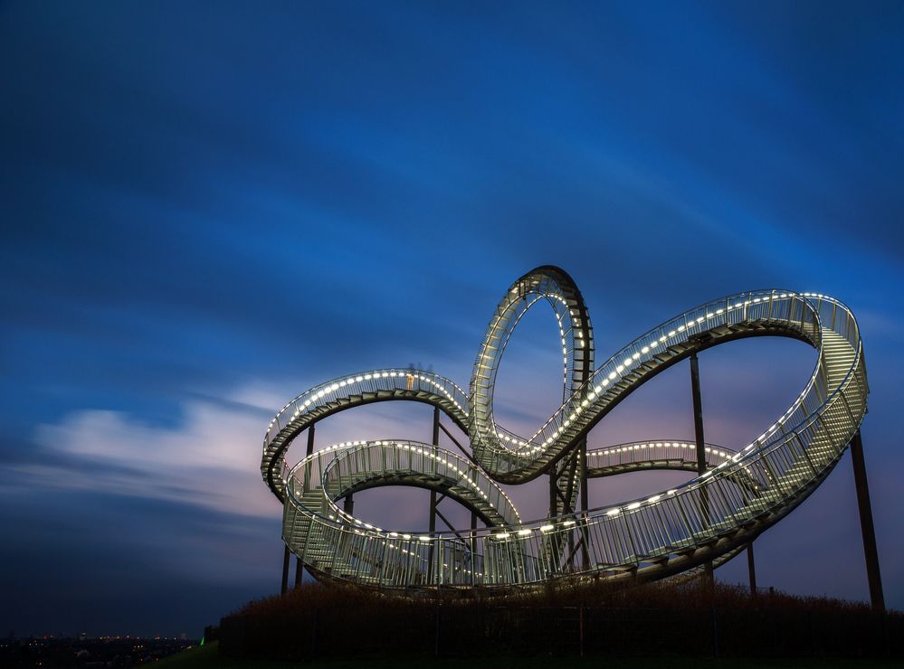 Tiger and turtle I