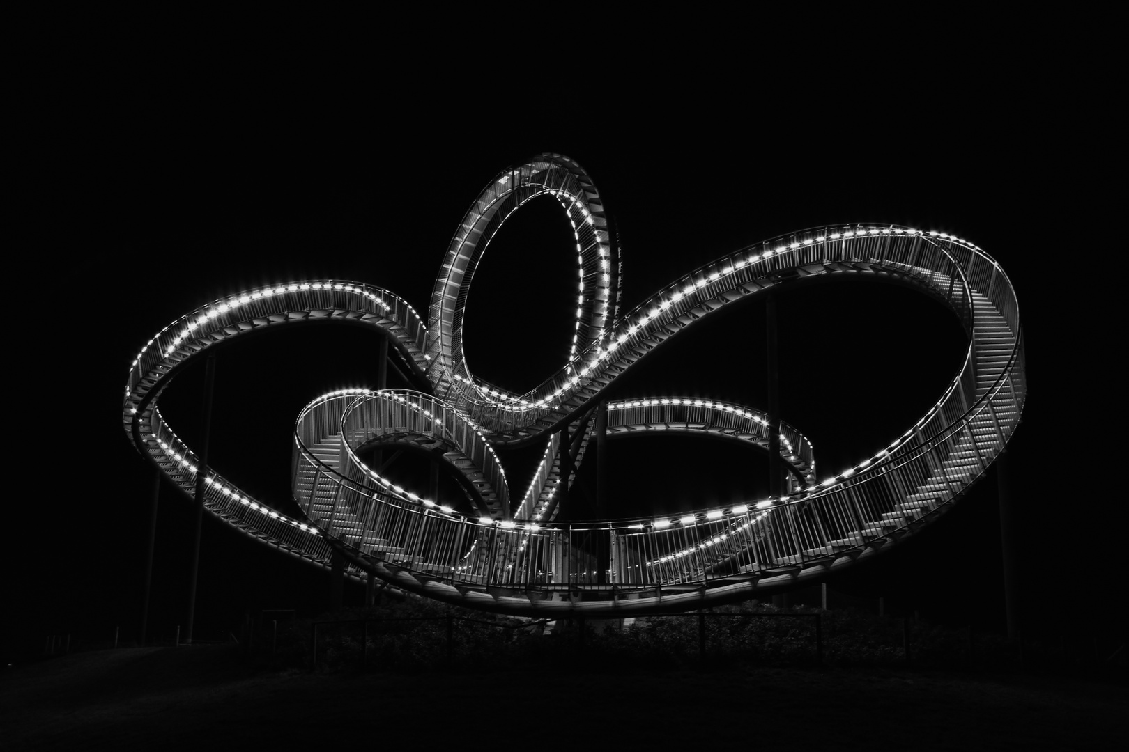 Tiger and Turtle II