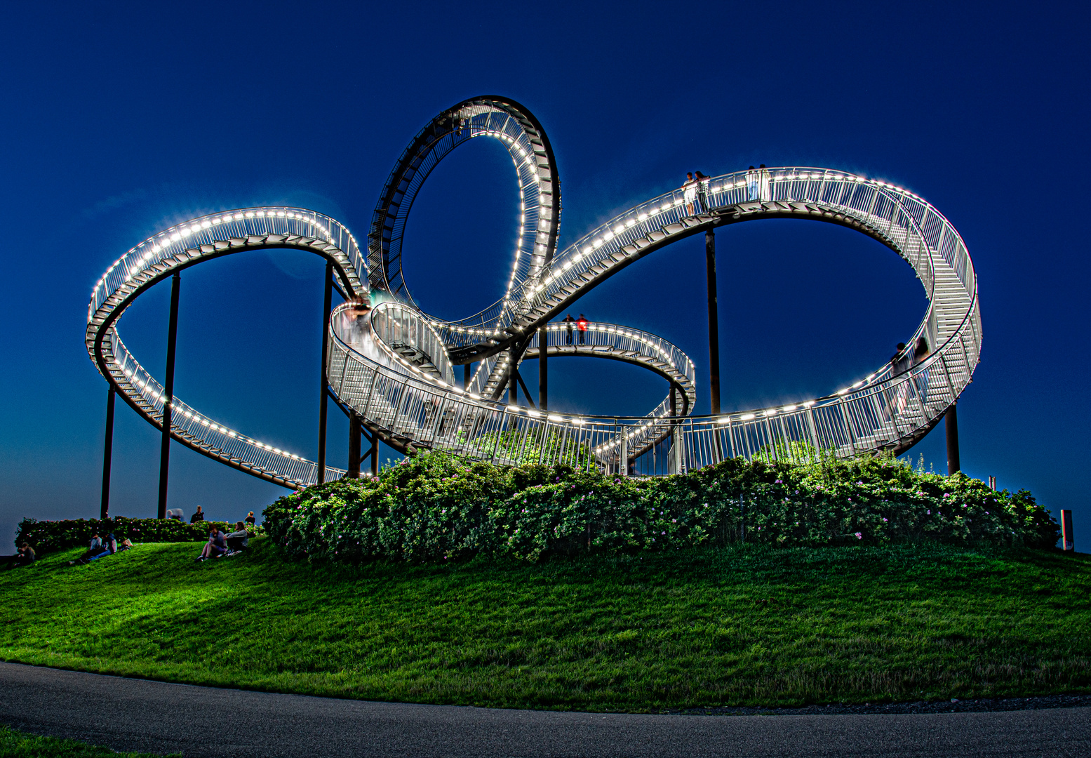 Tiger And Turtle II