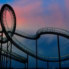 Tiger and turtle II