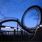 tiger and turtle II