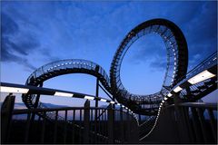 tiger and turtle II