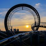 Tiger and Turtle II