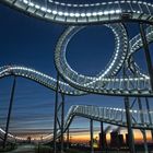 Tiger and Turtle II