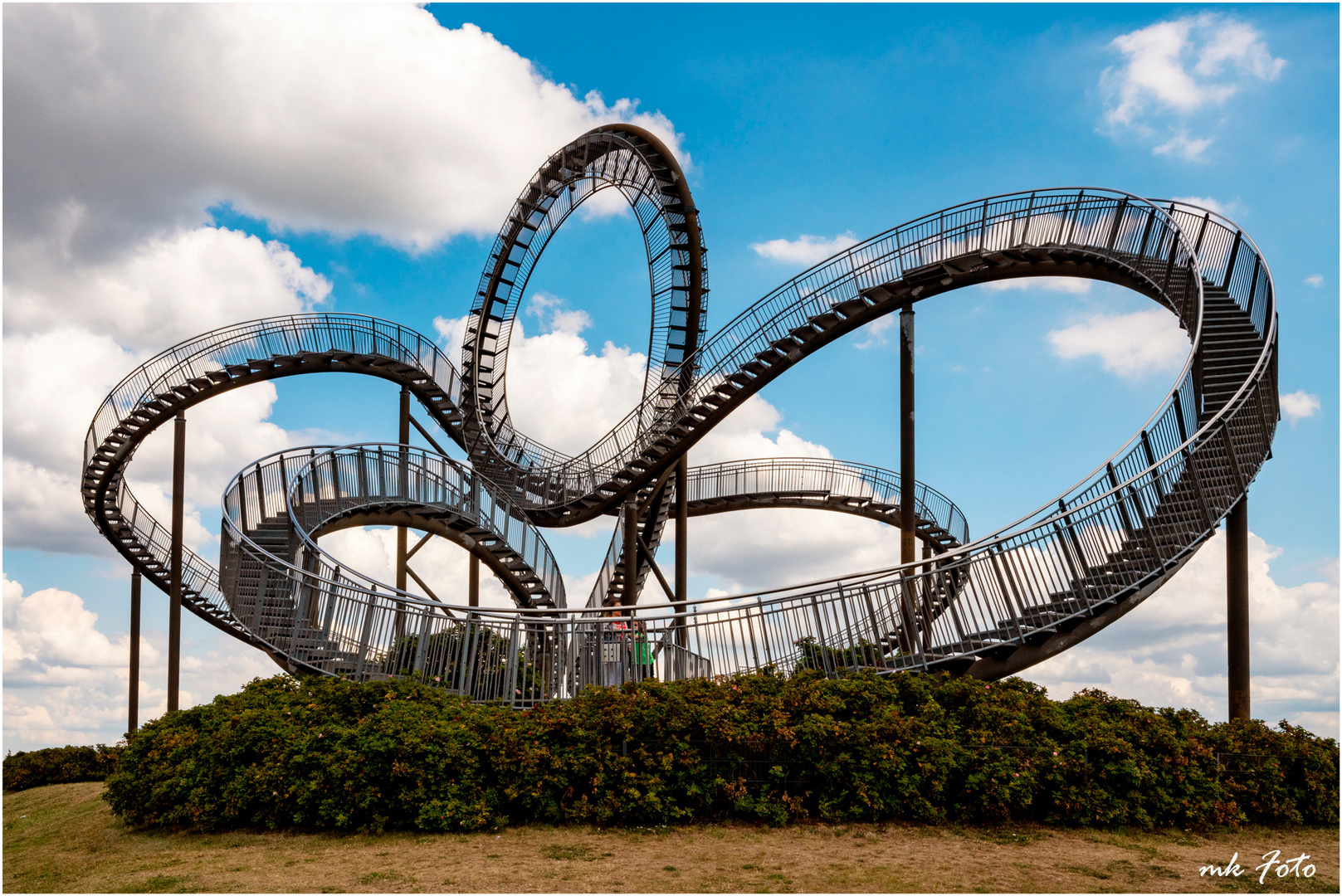 Tiger and Turtle II