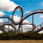 Tiger and Turtle II