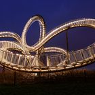 Tiger and Turtle II