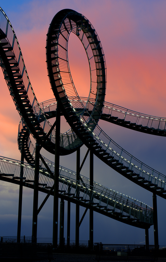 Tiger and turtle III