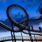 tiger and turtle III