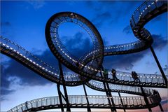 tiger and turtle III