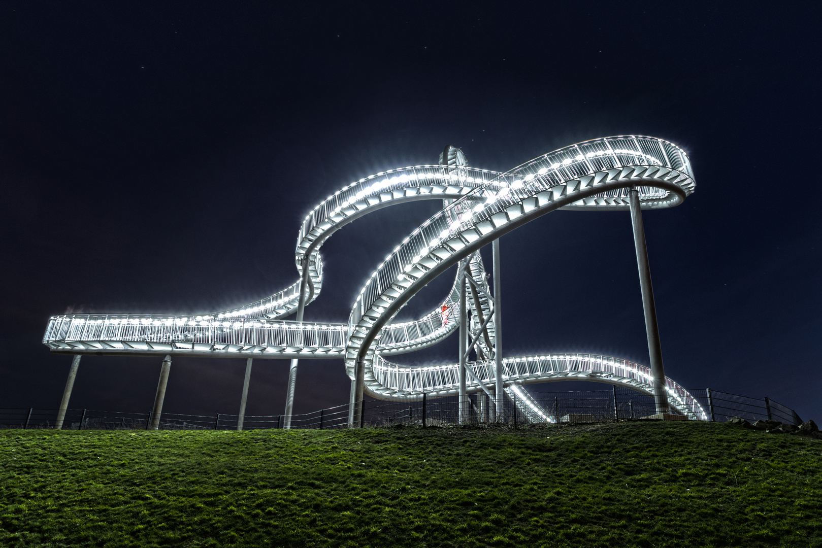 Tiger and Turtle III