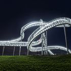Tiger and Turtle III