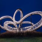 Tiger and Turtle in Duisburg