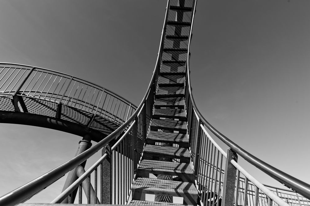 Tiger and Turtle in SW (2)