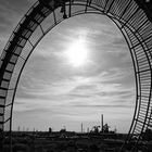 Tiger and Turtle in SW