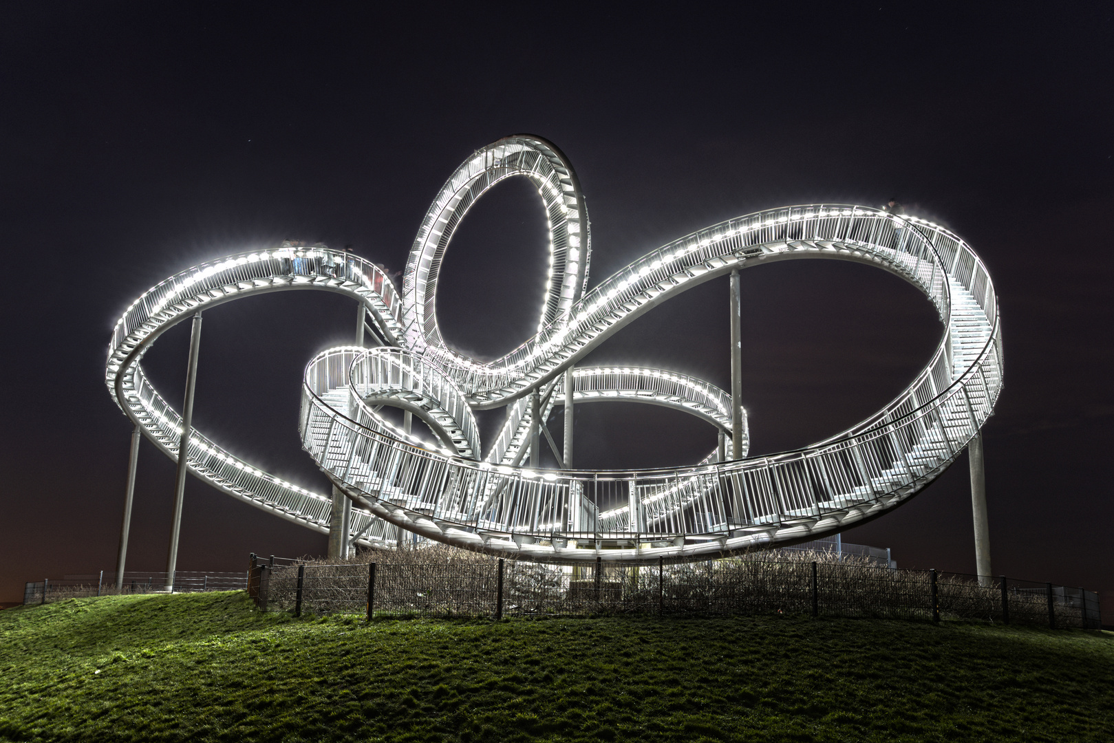 Tiger and Turtle IV